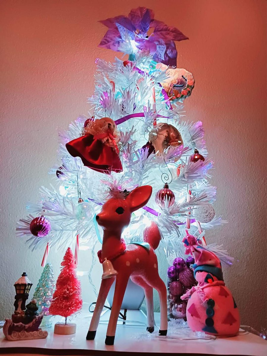 EntCornbread's tweet image. On the 6th Day of "25 Days of the Holidays with @NancyHubanks" we want you to show us your trees! 
😄🙏🎄👀
Take a picture or video and show us in the comments!

One of @nancyhubanks favorite traditions of the season. This year she just put up a small one!