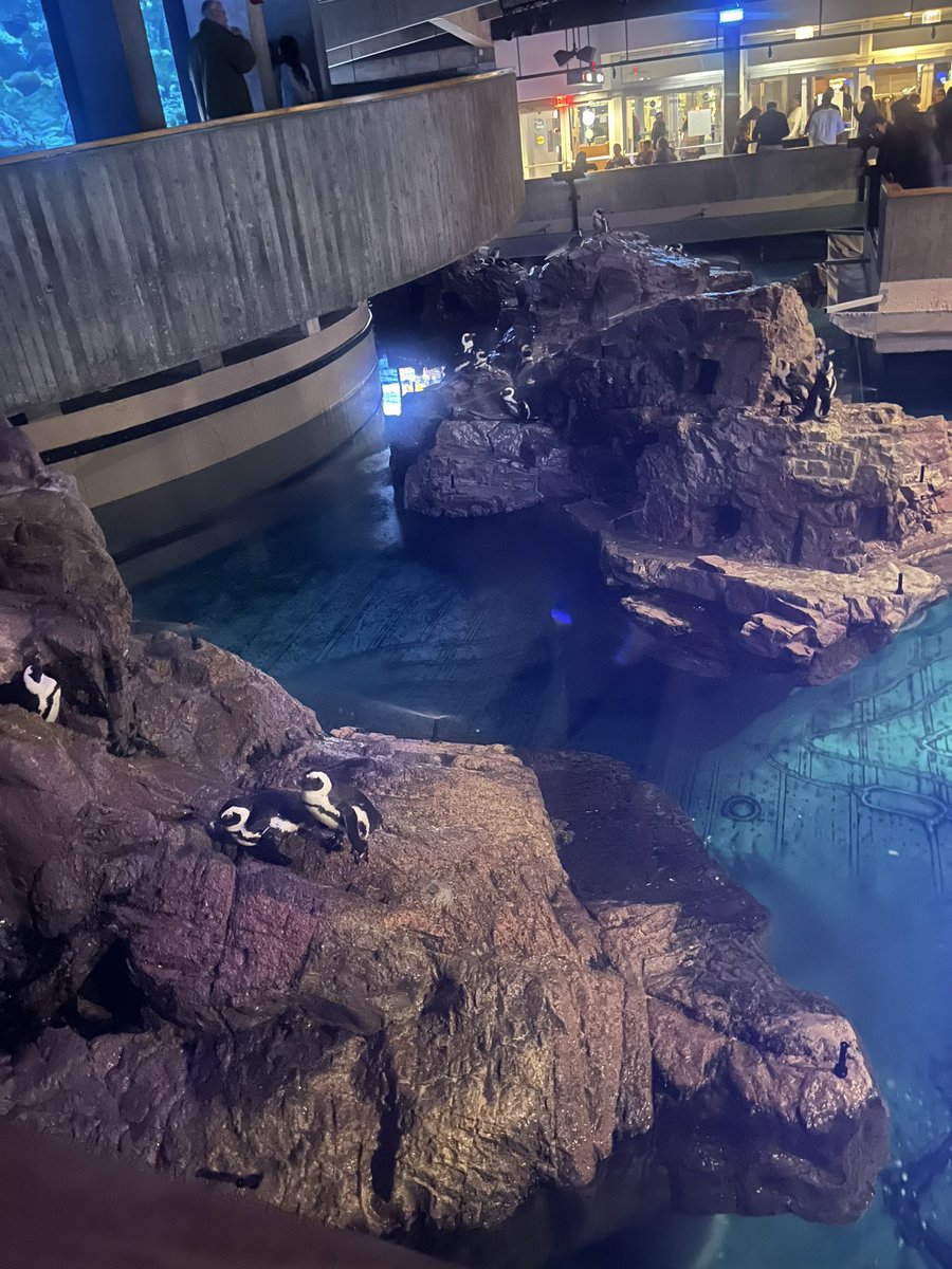 David C. Michael tweet media