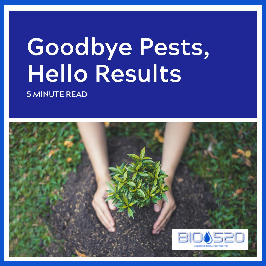 Transform your space into a pest-free haven of success! 🌿✨ Say goodbye to pests and hello to remarkable results with BIO520's . Dive into 'Goodbye Pests, Hello Results' for the ultimate guide to effective pest control. 🐜🌍 #BIO520Blog #PestControlMagic #HelloResults