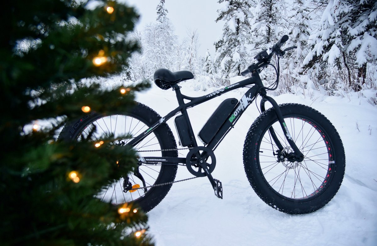 Ecotricbicycle's tweet photo. Up to $520.99 Off CHRISTMAS Discount is Available Now https://t.co/46rty75Tmh https://t.co/4yKC0wnuhP