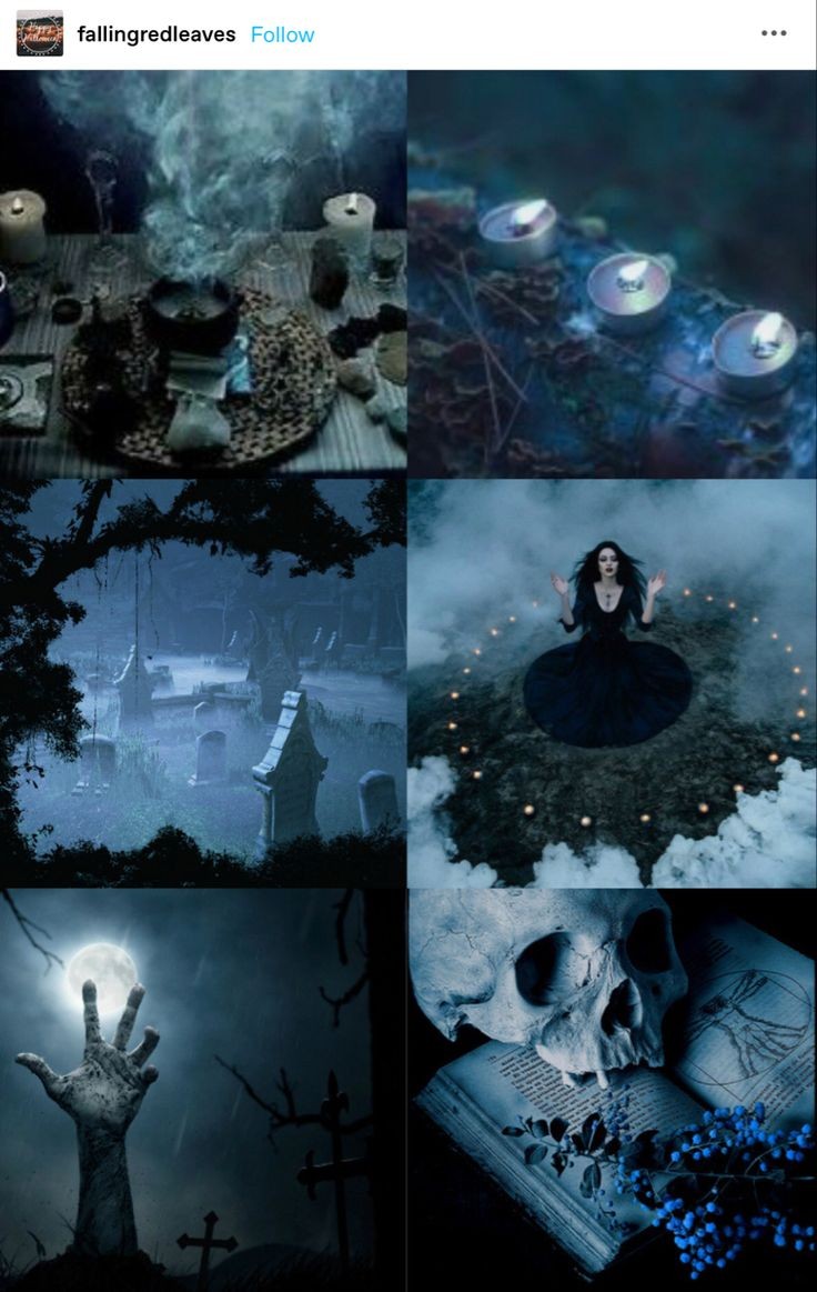 Pagan Black Jaguar Witchery (@jaguar_witchery) on Twitter photo 