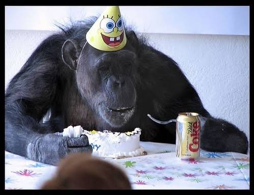 Rockstar_YT's tweet photo. STREAM DE CUMPLEAÑOS! COPYRIGHT! LEVEL 15 FULL MAX MAZO SIN SKILL 😆🎈

Twitch/TikTok RockstarCR 🐵🤩 https://t.co/qc4Z2aCsCW