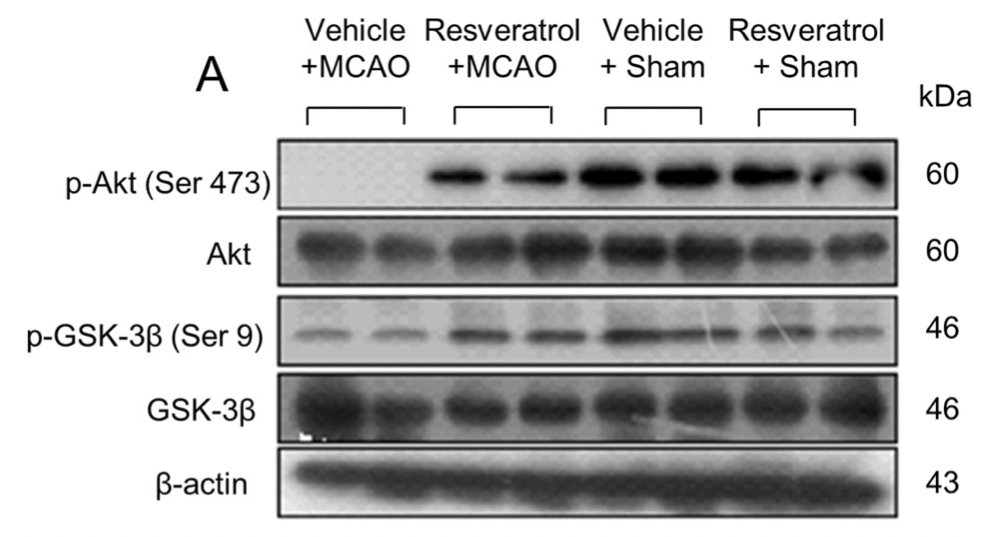 Elisabeth Bik tweet media
