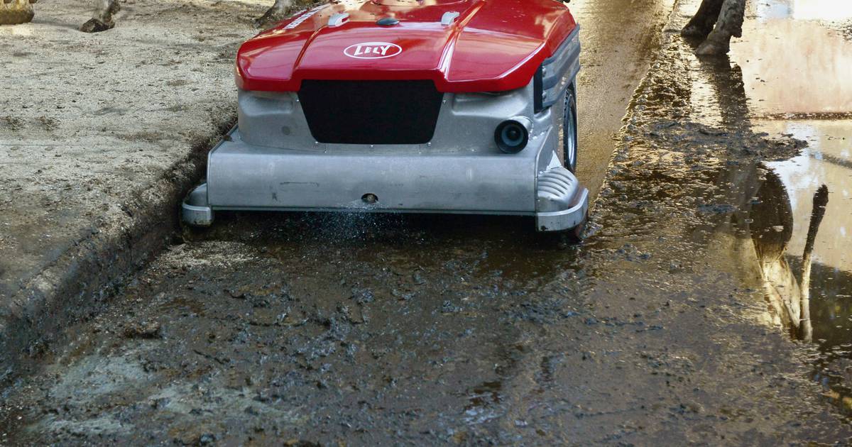 LelyAtlantic's tweet image. 🐮 Healthy and happy cows! Lely farmers report lower incidences of mastitis since investing in Lely Discovery Collector. 

Let our manure scraping &amp;amp; vacuuming robot take care of barn hygiene, improving udder health and milk quality: lely.com/gb/solutions/h… 

#TeamDairy #LelyRobot