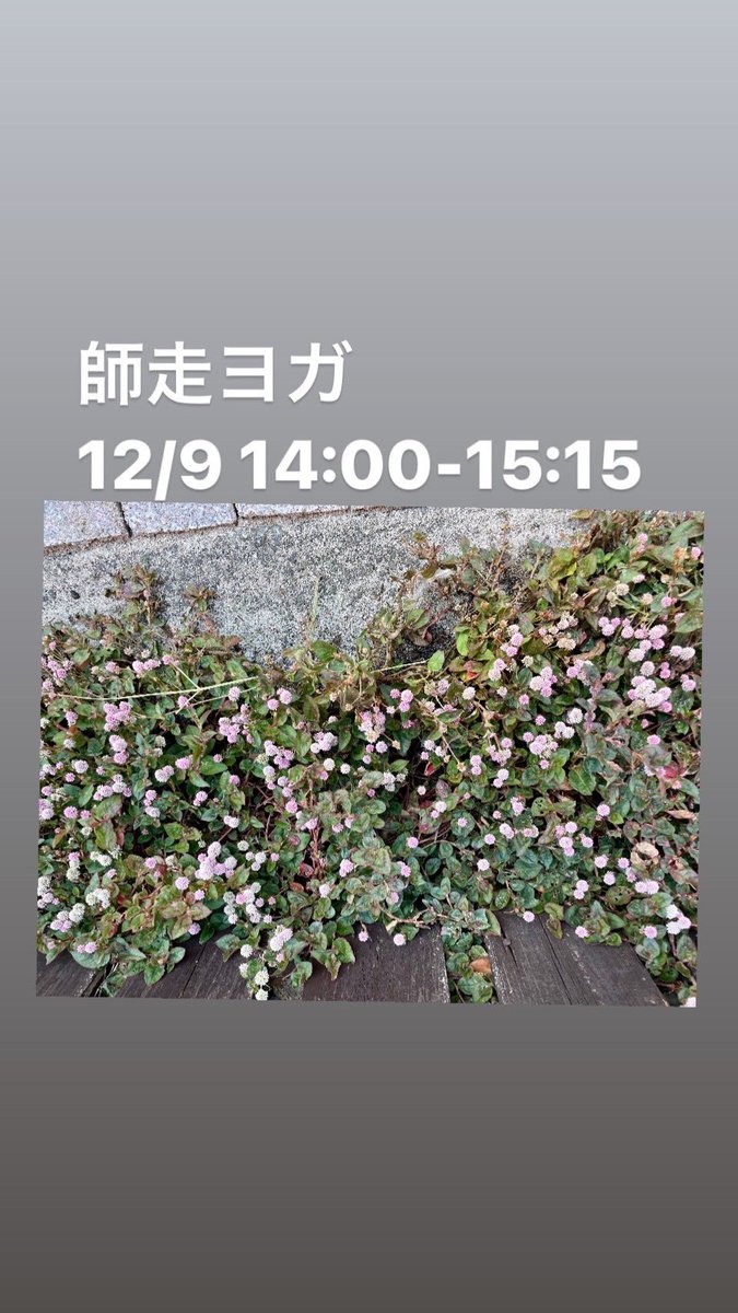 wakakusapj's tweet photo. 【12月のヨガクラスのご案内】

今年も年の瀬がやってきました。

バタバタと気忙しくなっていく時期ですが、そういうときこそ、ヨガの時間を持ってほっと一息ついてみませんか？

身体とココロをほぐして滞りを流していきましょう。 https://t.co/SzAmxyUX4z