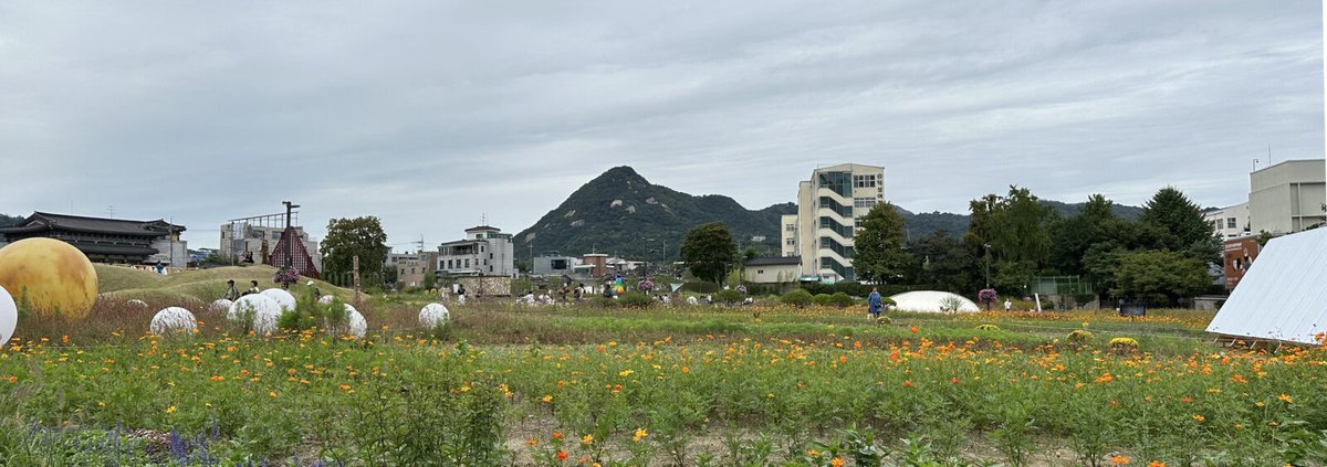 우리 땅에 왜 이건희 기증관을 짓는 거야? 기증하겠다는 의사를 밝힌지 7개월만에 #송현동 부지에 #이건희기증관 을 짓겠다는 발표를 했다. 우리한테 좀 물어보는 척이라도 해야하는 거 아닌가? 많은 사람들이 이 곳에 대해 알고, 경험하고, 생각할 시간을 줘야한다. jinzaspace.com/archives/15792