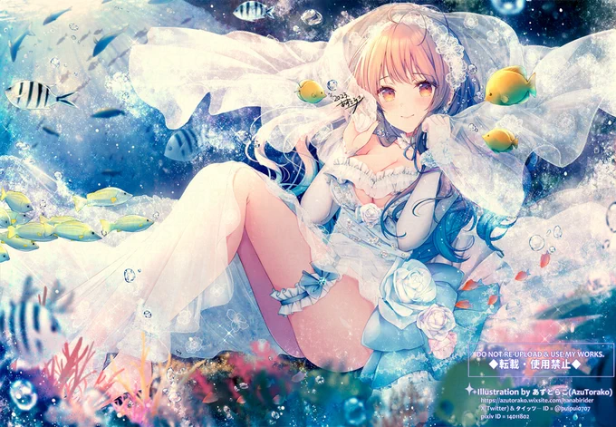 . 。o○
