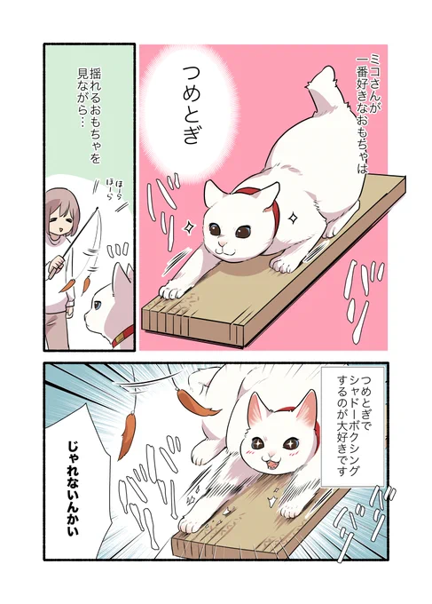猫と遊ぶの…むずかし〜〜!!って話(1/2)  #漫画が読めるハッシュタグ #愛されたがりの白猫ミコさん