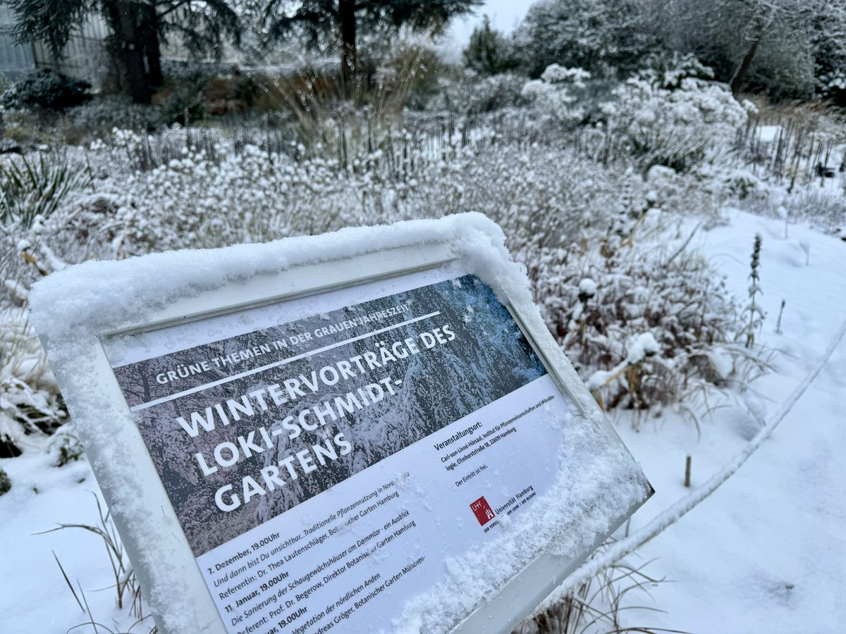 Botanischer Garten Hamburg (@botgartenhh) on Twitter photo Heute, 7.12.2023 um 19.00 Uhr, geht es mit unserem Wintervortrag in weit wärmere Gefilde: "Und dann bist Du unsichtbar - traditionelle Pflanzennutzung in Nord-Angola". Referentin ist Dr. Thea Lautenschläger, wissenschaftl. Leitung des Loki-Schmidt-Gartens. botanischer-garten.uni-hamburg.de/02veranstaltun… Heute, 7.12.2023 um 19.00 Uhr, geht es mit unserem Wintervortrag in weit wärmere Gefilde: "Und dann bist Du unsichtbar - traditionelle Pflanzennutzung in Nord-Angola". Referentin ist Dr. Thea Lautenschläger, wissenschaftl. Leitung des Loki-Schmidt-Gartens. botanischer-garten.uni-hamburg.de/02veranstaltun…