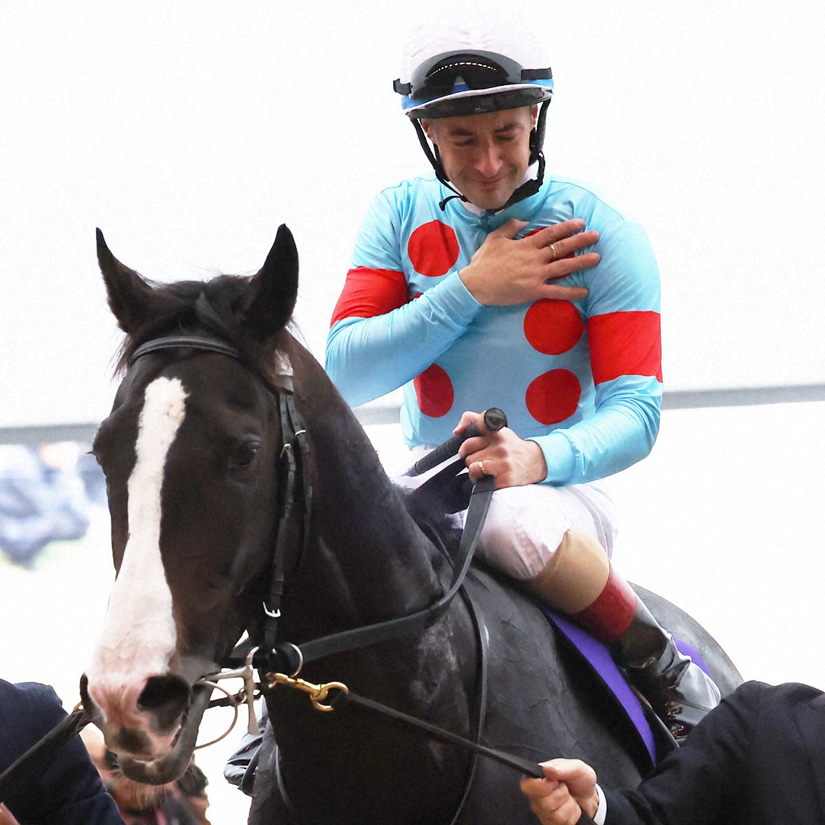 イクイノックスまとめ売り