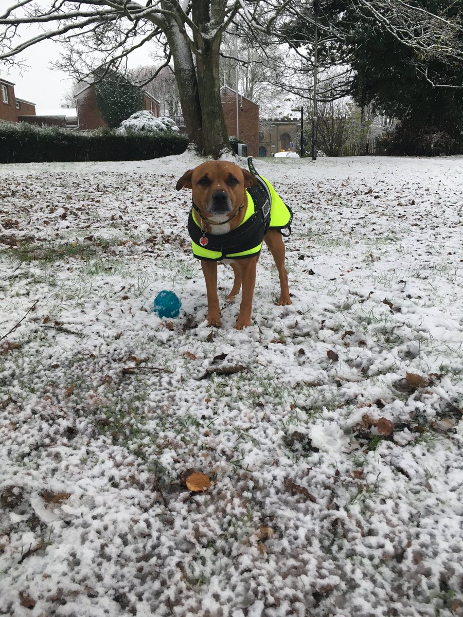 Hi gang. We won't be able to send any Xmas cards this year, we have had to spend a lot recently and just can't afford it. Hope you can understand. Christmas is going to be strange without our boy, but we are so lucky to have many happy memories to cherish forever 💙