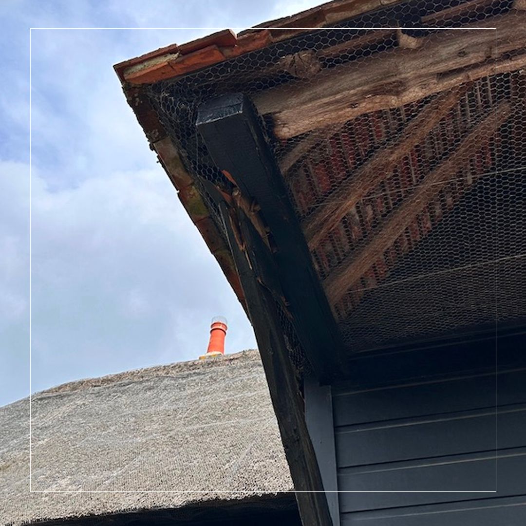 JLAJoinery's tweet photo. Our team don’t just make amazing staircases, doors &amp; porches - we’re also here to repair damaged existing items! 🔨

We were asked to repair a porch support after it was unfortunately damaged by a skip lorry.

Read more here: https://t.co/jjtgRbxC6k

#porchrepair #jlajoinery https://t.co/ASzVoPf3Iw