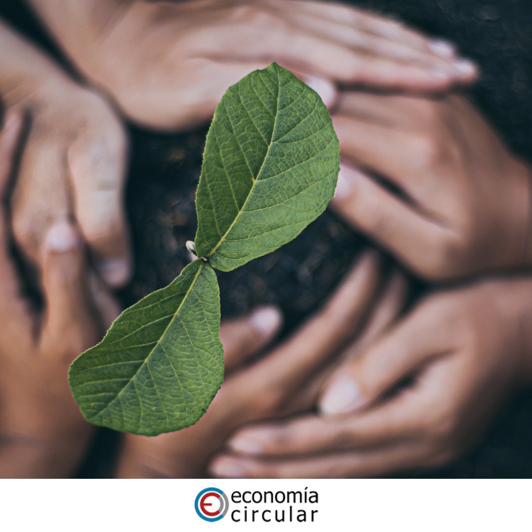 Economía Circular tweet media