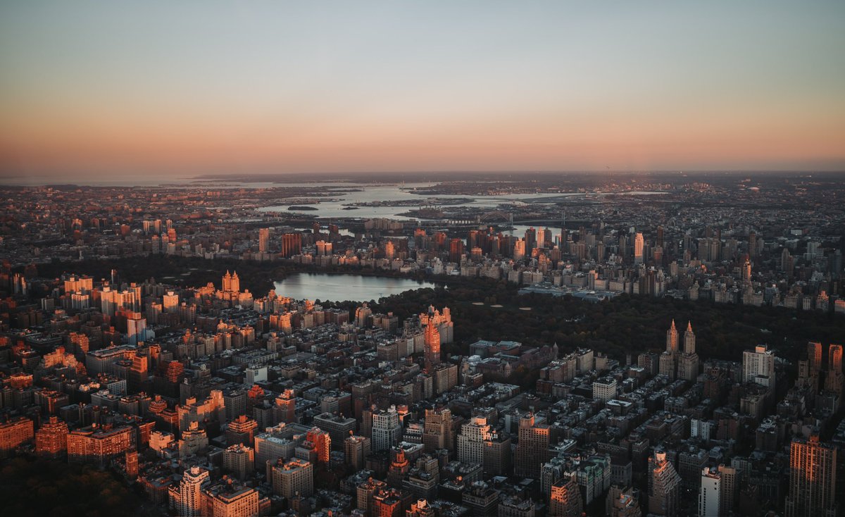 Steve Capelli tweet media