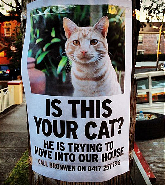 AUwtf's tweet photo. @autoday @nswpolice Is this is cat @nswpolice your looking for? 
The cat just left its owner #nswpol https://t.co/dktNJYzRPw