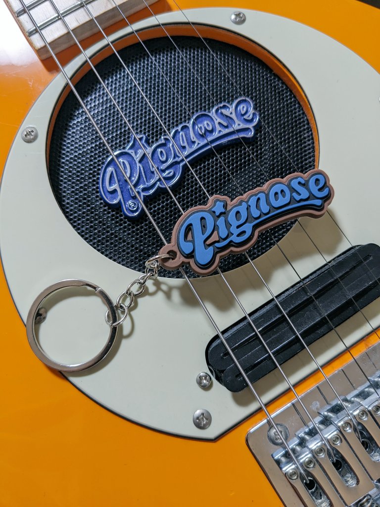 vh5150's tweet image. 荒井貿易様からちょっと早いクリスマスプレゼント頂きました🎅
#荒井貿易 #pignose