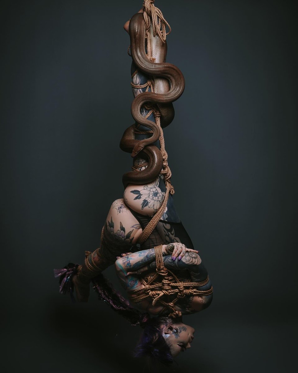 Kellie panther 🦄 tweet media