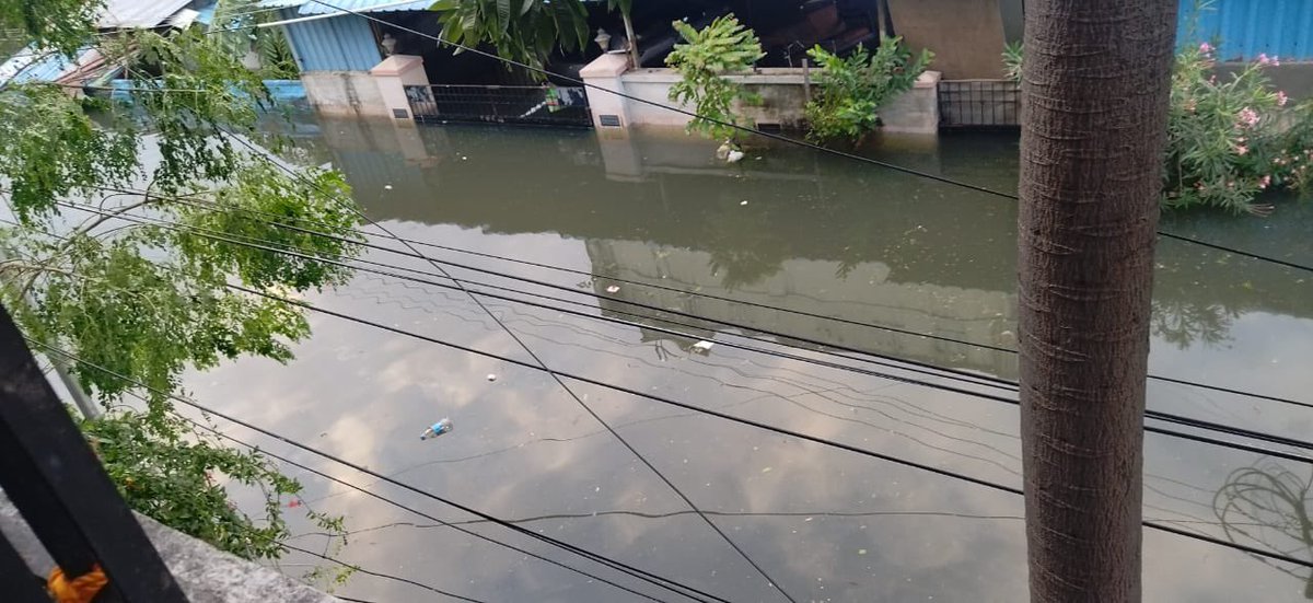 thisismeabhi's tweet photo. Kalyani -+91 86818 91249
🆘 

#Chennai #ChennaiFloods #ChennaiRains2023 #ChennaiHelps #food #volunteers https://t.co/MlHU0mUjZK