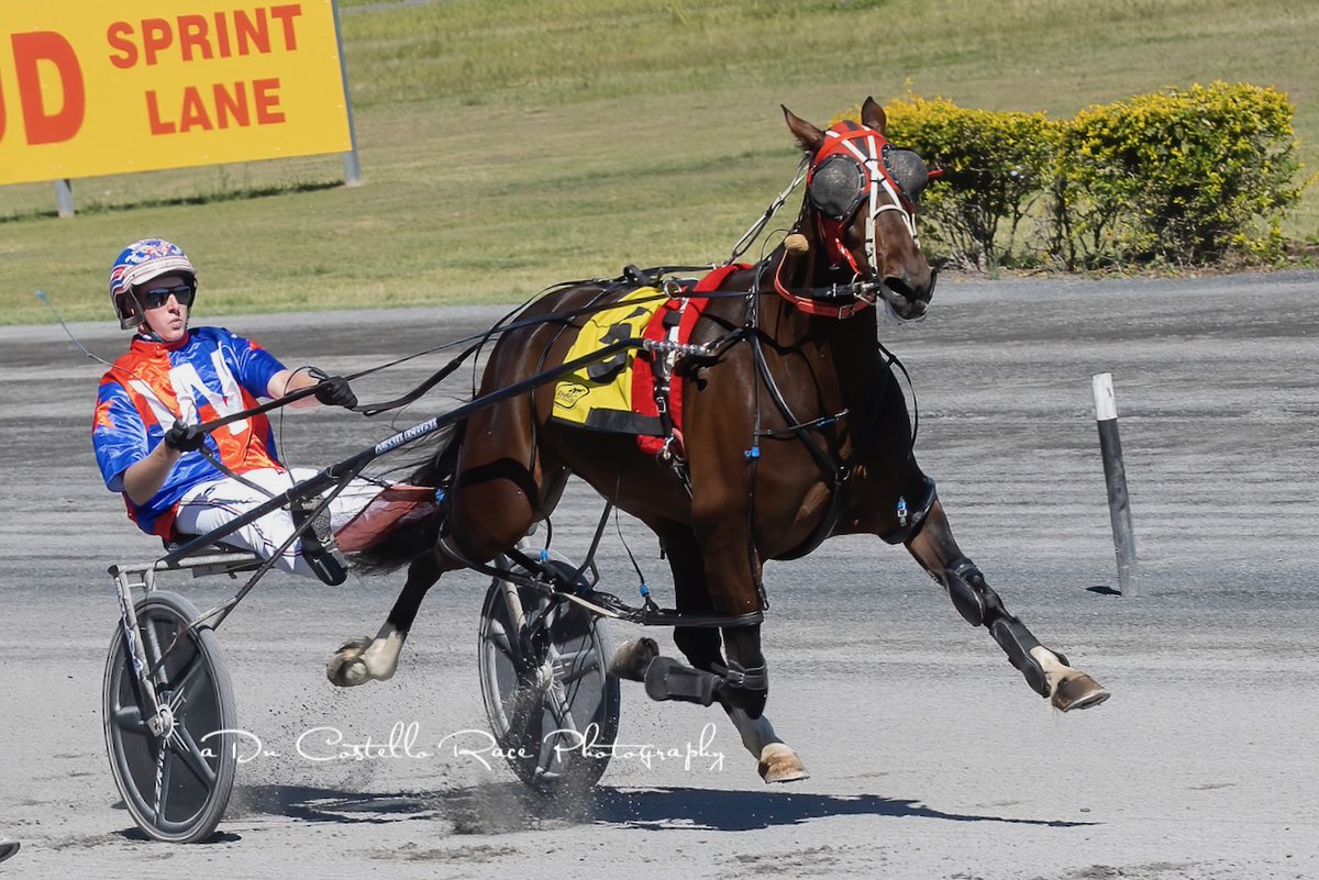 DanRacingWrap's tweet photo. Barrier to box Bella Bronski with @garrard_angus in race 5 @redcliffe_hrc for trainer @WilliamsRacing5 https://t.co/pVANP6OFUk