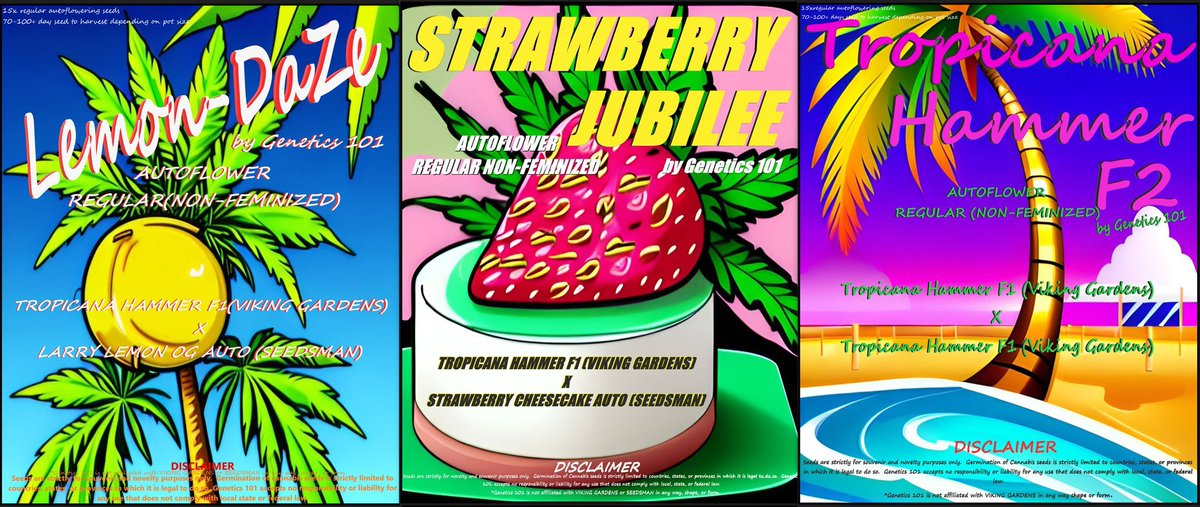 Let's have a giveaway!!

5x packs of auto regs!!!

*Lemon Daze
*Strawberry Jubilee
*Tropicana Hammer F2
*Hammered
*Tropighani

- Follow <a href="/Genetics101va/">GENETICS 101</a>

- Like &amp; Repost

- Leave a comment or tag a friend

- US/CA/UK only for this one.

The winner will be chosen on December 10.
