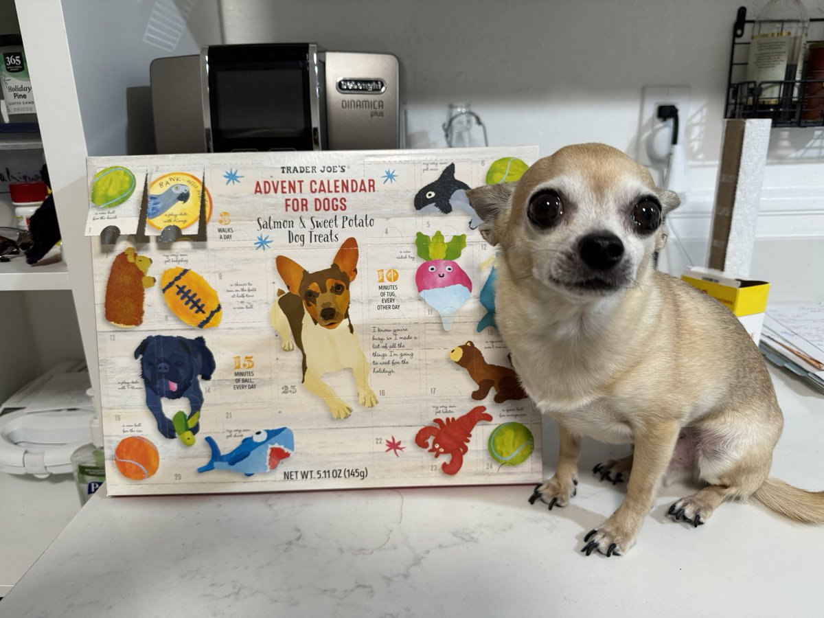 OSingier's tweet image. ‘Tis the season😉 #brunothechi #petsofATA #yummymiammiam