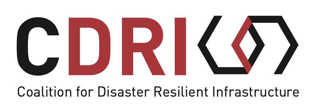 Delighted to have joined  @cdri_world as Director of Advocacy and Communications, and to be back working in New Delhi.

#COP28 has demonstrated the breadth, impact, and need for the Coalitions's work championing #ResilientInfrastructure. 

linkedin.com/posts/davidwhi…