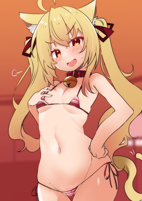 マイクロビキニドスケベドラゴン猫崎せんせえをどうしても描いてくれっておれのなかのおれが 