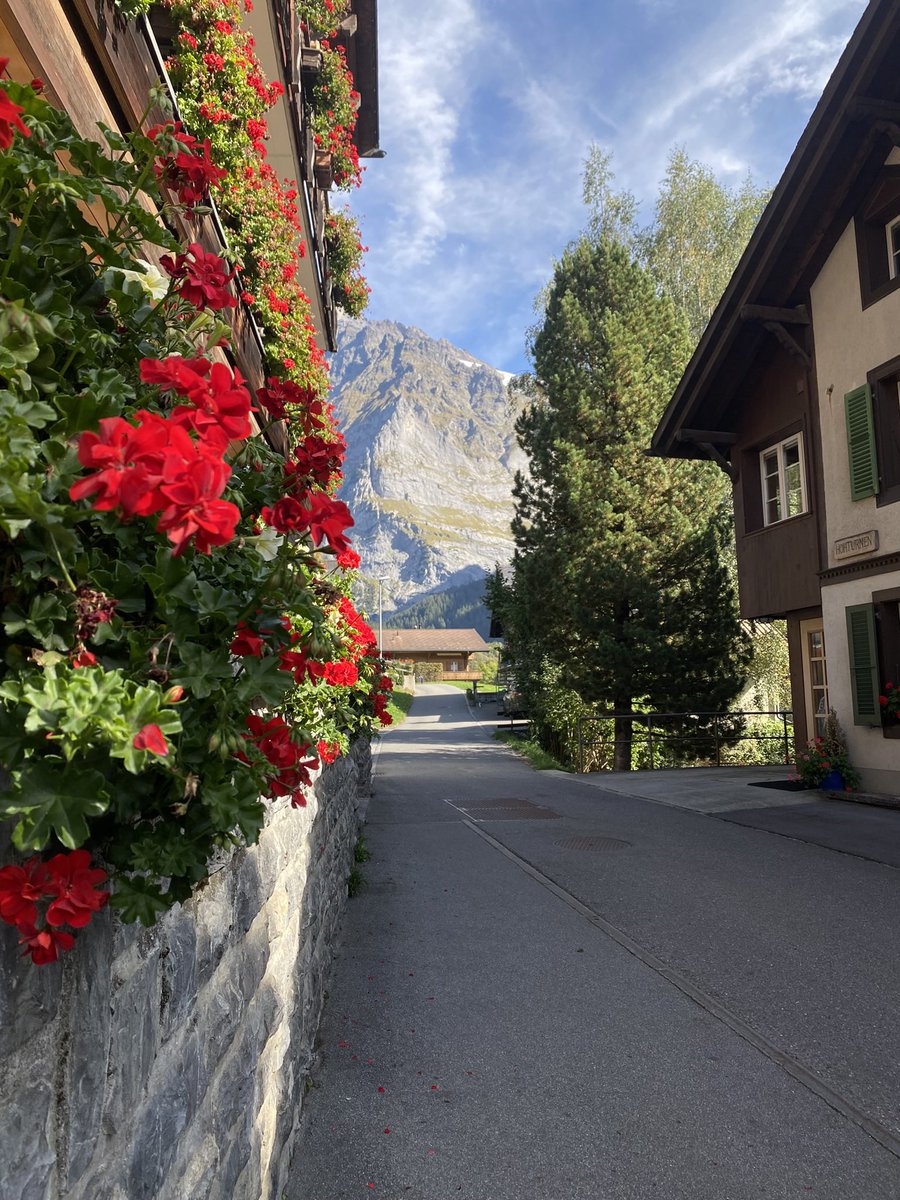 حنين🇨🇭 tweet media