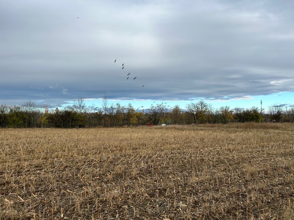 Matthias Winterer tweet media