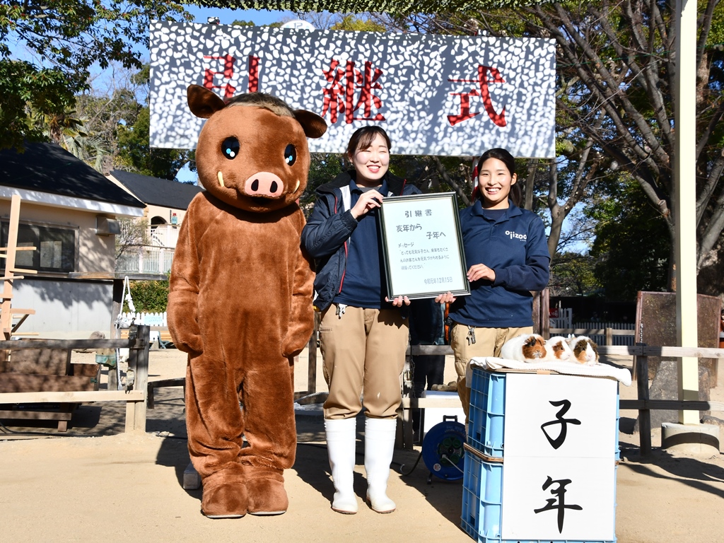 kobeojizoo's tweet photo. 12月17日（日）13時30分より、イベント「干支の引継式」を開催します！

「卯」から「辰」に引継書の受け渡しを行います。（画像は2019年の亥から子の様子です）

ご来園の際はぜひご覧ください！

イベントページ
https://t.co/SsYJjhv0j6

※雨天延期です
※本物の動物が登場しない場合があります https://t.co/Gh3WCk9VwQ