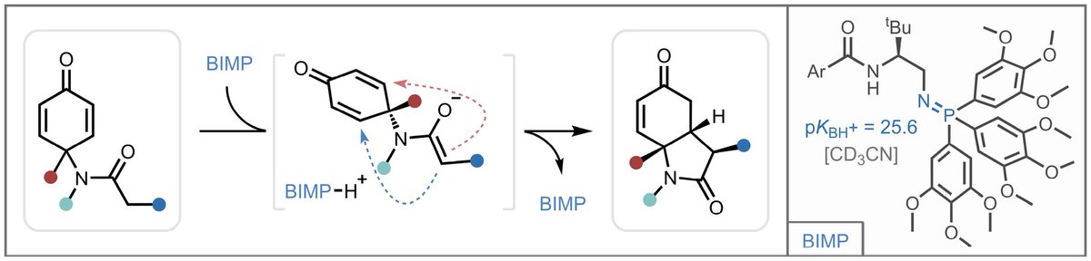 dixon_group's tweet photo. A great week for BIMPs: Check out our latest BIMP-catalysed enantioselective desymmetrization, out now in @angew_chem! 

https://t.co/phwMLaR1pd

Great work Charmaine, @DRozsar and the rest of the team. https://t.co/JwQFF0gjo5