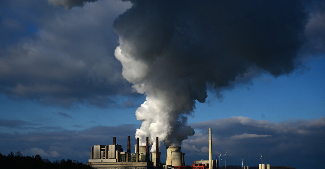 Entelligent tweet media