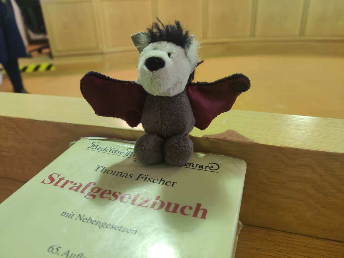 Die Zerstörung des Bahnhofswaldes bedeutet den Verlust des Zuhauses zahlreicher gefährdeter #Fledermaus-Arten. Stellvertretend ist zumindest eine von ihnen heute mit auf der Anklagebank.