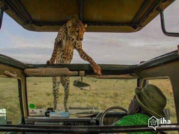 Mmekuja kutupeleka India eh?🥺