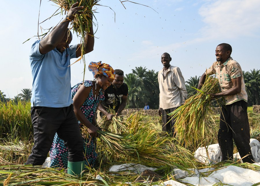 Guangming_Daily's tweet photo. #Africa-ChinaAllianceForPovertyAlleviation #ACAPA
A 2023 Review of Development Cooperation and Dialogue with African Nations on Poverty Alleviation: Exciting developments in China-Africa cooperation! Chinese President Xi Jinping's plan for Africa's Agricultural Modernization is set to transform the continent's farming landscape. According to Richard Mulwa, Deputy Vice-Chancellor of Egerton University, the benefits will extend to farmers through joint research, tech transfer, and high-yielding crop development. #ChinaAfricaCooperation #AgricultureInnovation #InclusiveGrowth
Read more at:
https://t.co/9bnNGhnTbJ