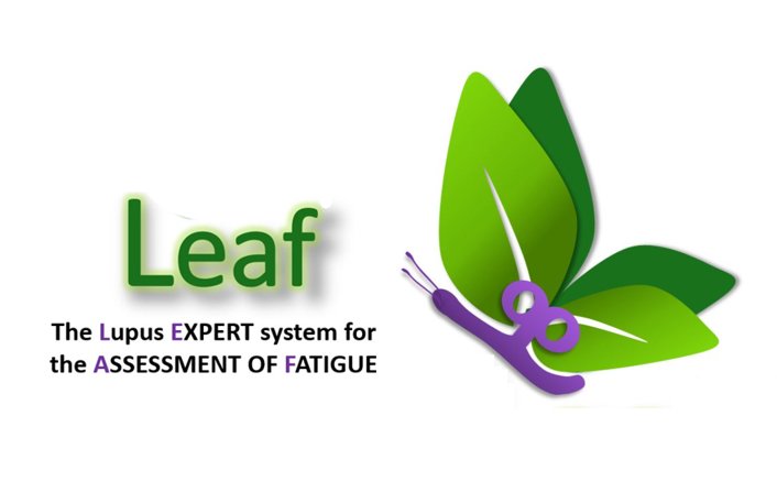 ✅ Did you participate 🏥 to the #LUPUS Expert System for the Assessment of #Fatigue (#LEAF🍃) Study? If so, we would like to thank you very much 🙏 you can check 🔎 the full results of 1250 participants with #SLE using the following link: doi.org/10.1136/rmdope…