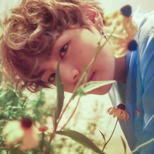 they came straight from a fairytale 🍃