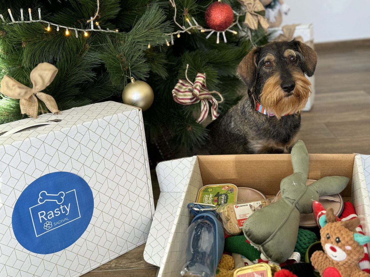 casaactual's tweet photo. La primera Cesta de Navidad para perros | casa actual
#alimentaciónmascotas #campañassolidarias #cestadenavidad #cestadenavidadparaperros #mascotas #oxfam #RastybySadival #Sadival

https://t.co/pmQwiAD0rQ https://t.co/q9uQOOfDBf