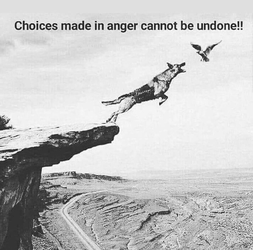 Renata Farah (@renatafarah) on Twitter photo 