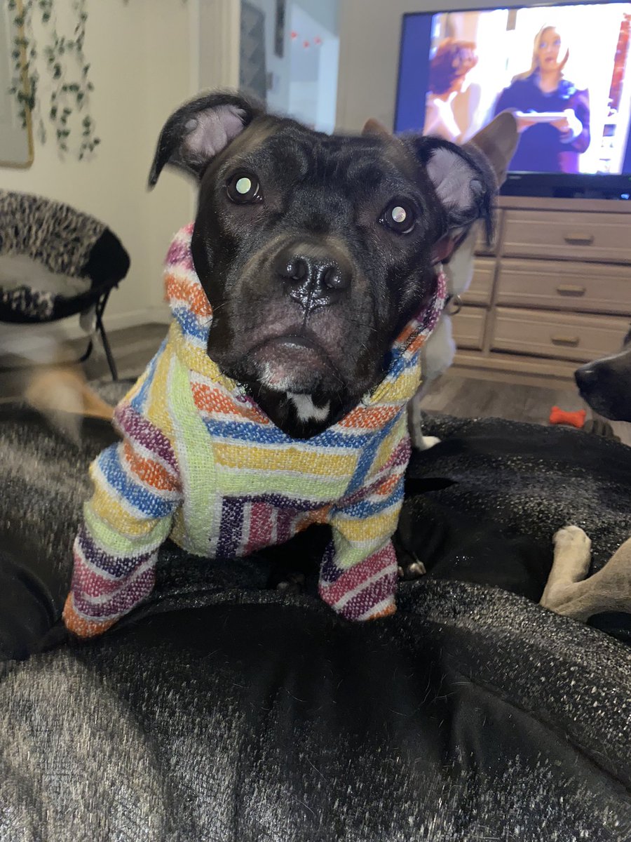 taylor_barkerr's tweet photo. charli photo dump 🤠🤍 https://t.co/rtwlbtbVoK