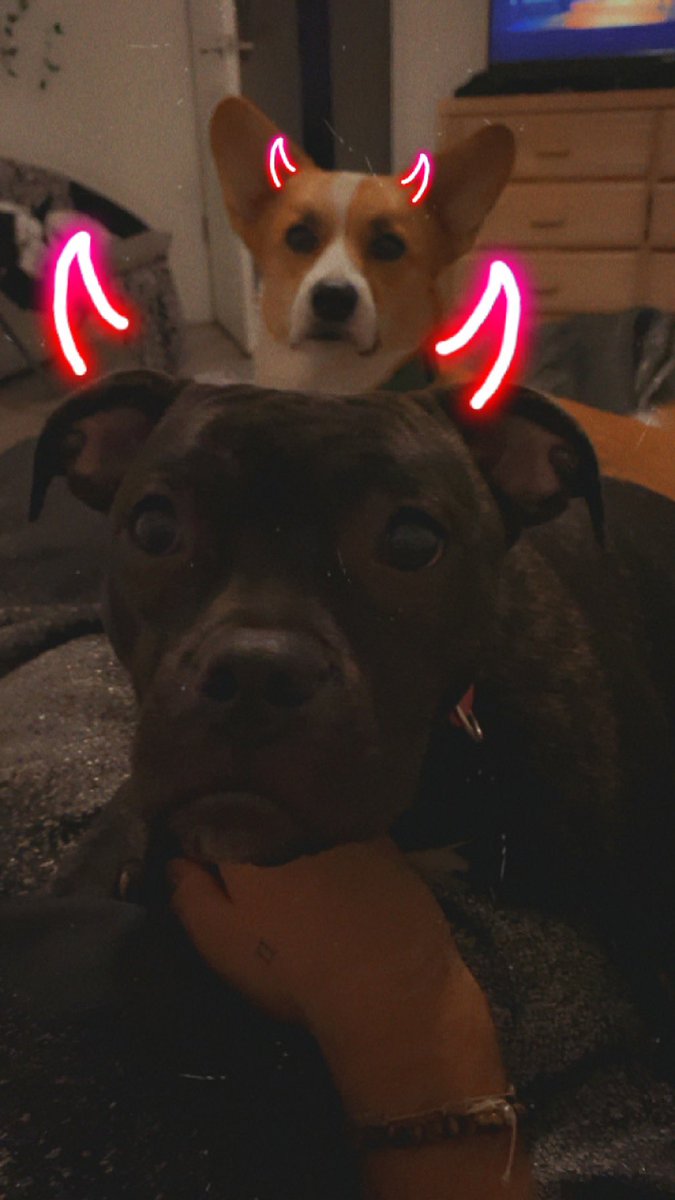 taylor_barkerr's tweet photo. charli photo dump 🤠🤍 https://t.co/rtwlbtbVoK