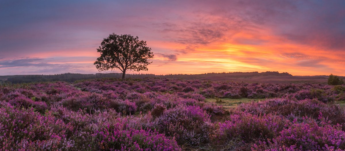 Good morning 👋 

A or B ? 

let me know which one is your favourite.