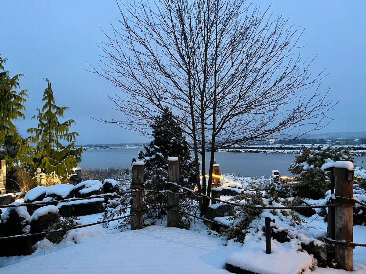 It was a lovely evening enjoying the view of the patio and beyond. #portpubandbistro #novascotiapics #winterwonderland