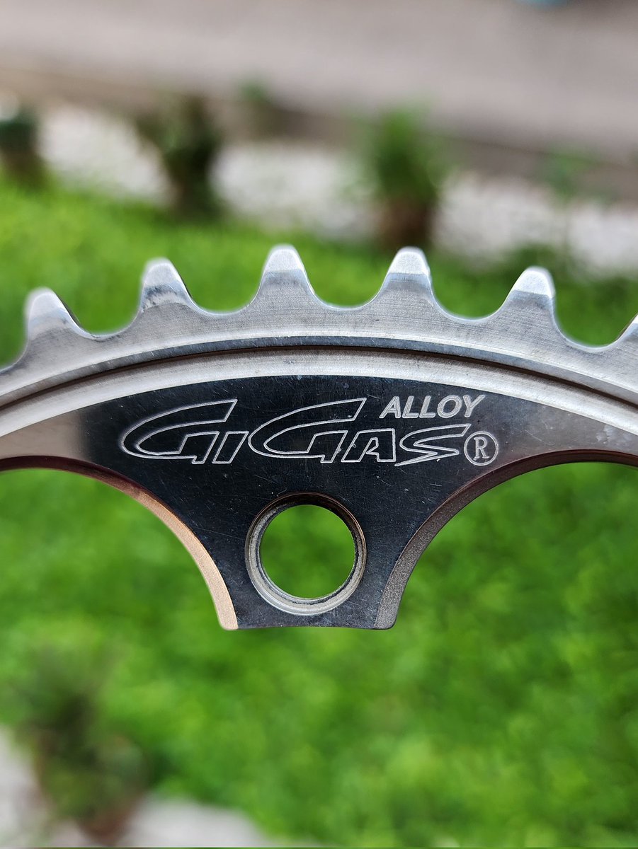 Buckster_1nonly tweet media