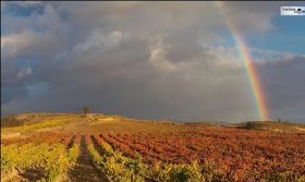 eltitulardelarioja.es/2023/12/habra-…

eltitulardelarioja@eltitulardelarioja.es  - 69462
 *Habrá soterramiento en la polémica linea de alta tensión en La Rioja*