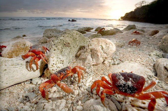 3. Mandarmani Beach, West Bengal