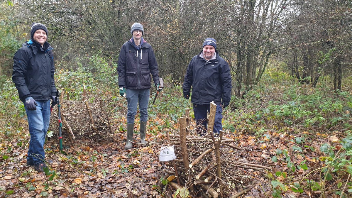 Read about the recent coppicing in the woodland. These hazel trees were planted just over 10 years ago and #coppicing them is part of our ongoing woodland management plan foundrywood.co.uk/coppicing-haze…