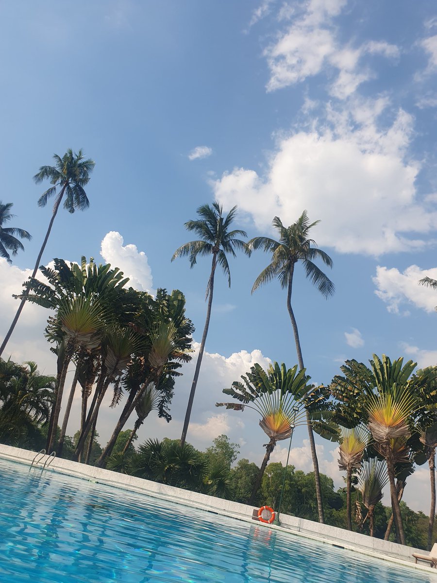 Miss Money Penny tweet media