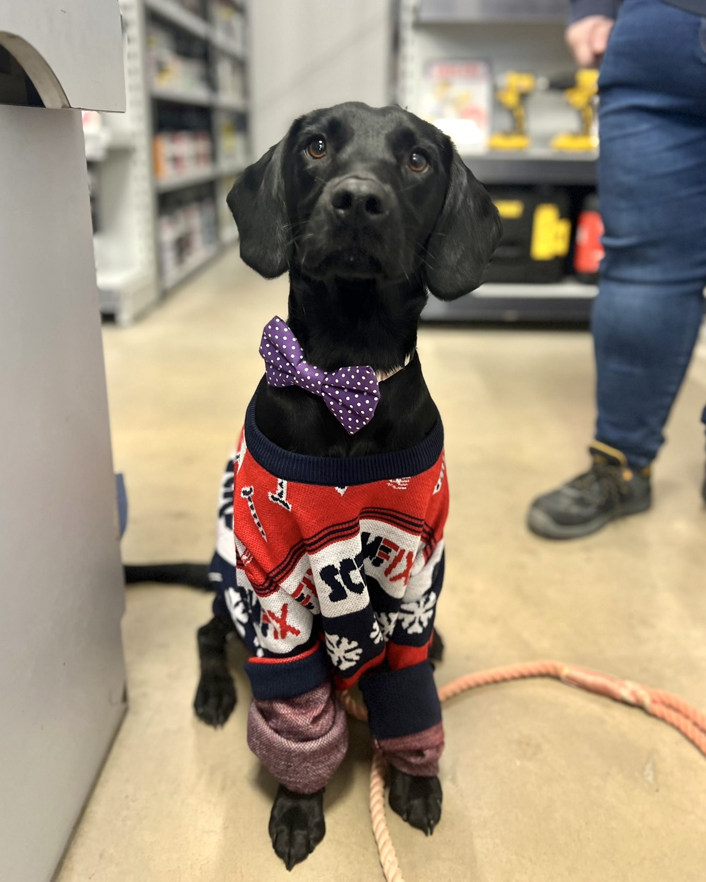 Christmas jumper top with collar