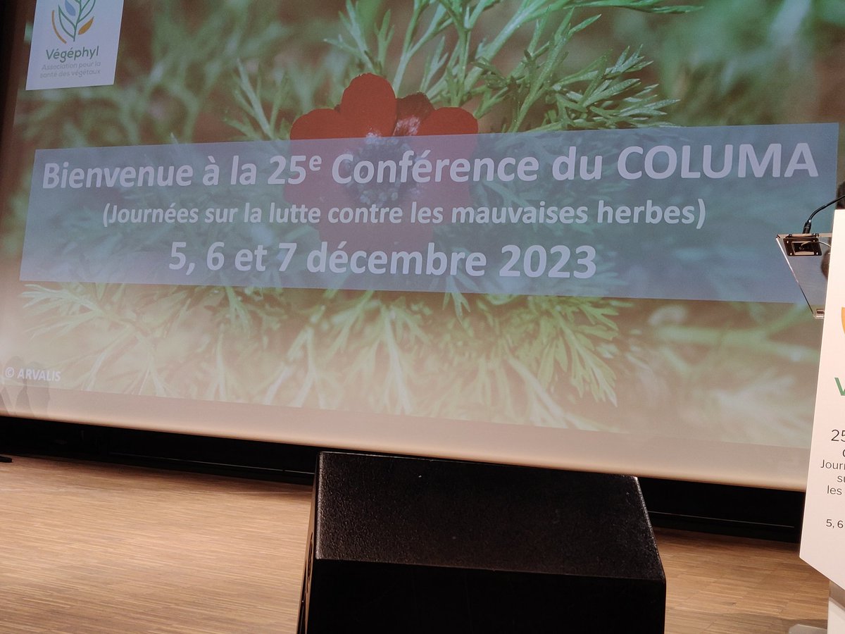 Végéphyl (@vegephyl) on Twitter photo CONFÉRENCE #COLUMA2023
C'est parti pour la dernière 1/2 journée de notre conférence sur la gestion de la flore adventice ! 🙂
2 sessions:
- évolution des solutions herbicides
- alternatives au glyphosate CONFÉRENCE #COLUMA2023
C'est parti pour la dernière 1/2 journée de notre conférence sur la gestion de la flore adventice ! 🙂
2 sessions:
- évolution des solutions herbicides
- alternatives au glyphosate